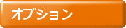 オプション