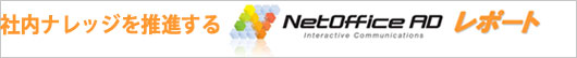NetOffice レポート
